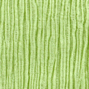 T／C楊柳　ピスタチオグリーン