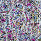 ストレッチふくれニットプリント生地