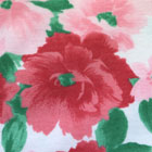 コットン天竺ニットプリント生地