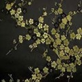 よさこいなど衣装などに最適な　チャイナドレス生地・チャイナ生地　梅の柄　黒地に金　【50cm単位】 （0635-81）