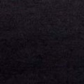 コットン強撚天竺ニット生地　黒