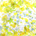 コットン強撚スムースニットプリント　ぼかし花柄　黄色系