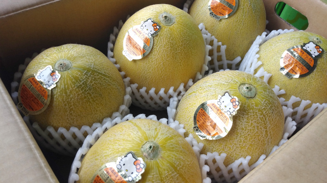 青森県産メロン アムさん 【秀品】5キロ箱