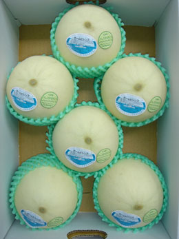 ホームビレンスメロン