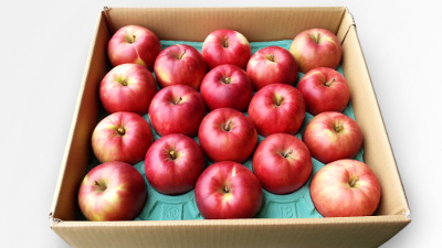 葉とらずサンつがる