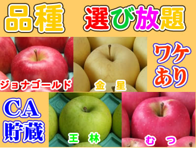 品種選び放題