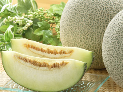 ハニーゴールデンメロン