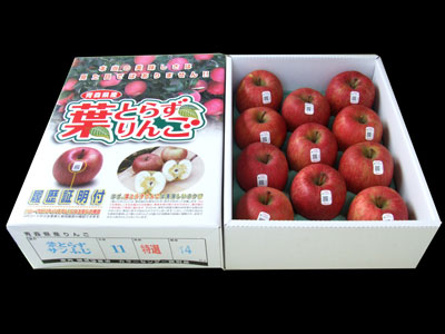 葉とらず極上贅沢３キロ１１玉