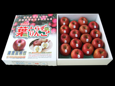 葉とらず極上贅沢５キロ１６玉