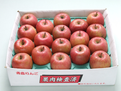青森りんご葉とらずサンふじ糖度13【お値打ち品】5キロ18から20玉