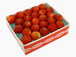 紅玉料理２５玉