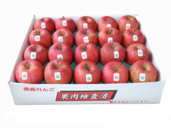 青森県産りんごサンふじ糖度14度【ちょっと訳あり】5キロ16～18玉