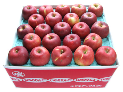 青森りんご 紅玉【料理用】10キロ46玉 - りんご屋 北の国から