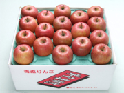青森りんご葉とらずサンふじ糖度13【お値打ち品】10キロ28から36玉
