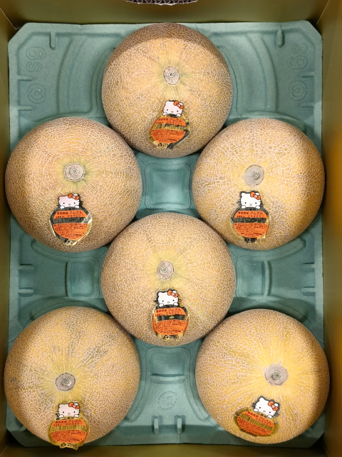 青森県産メロン アムさん 【ちょっと訳あり】優品7キロ箱