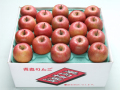青森りんご葉とらずサンふじ糖度13【お値打ち品】10キロ28から36玉