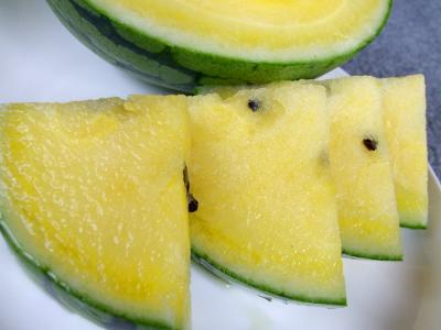 黄金小玉すいか