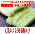 瓜の浅漬け