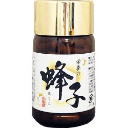 蜂子