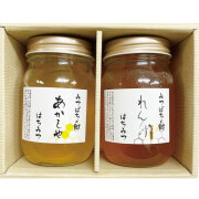 【送料・箱代込】蜂蜜紀行　特選