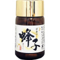 蜂子