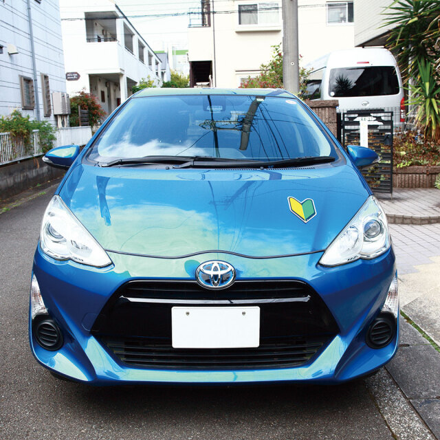 コレデコレ初心者マーク5