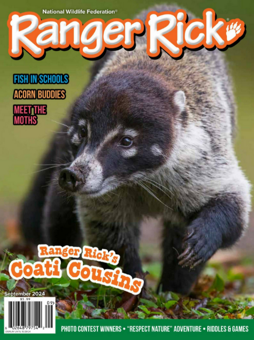 Ranger Rick Jr　レンジャーリックジュニア