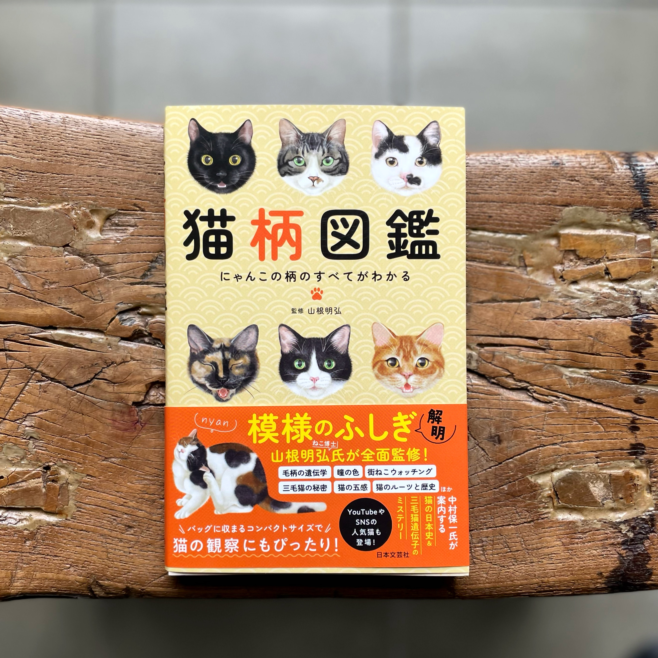 猫柄図鑑 451ブックス