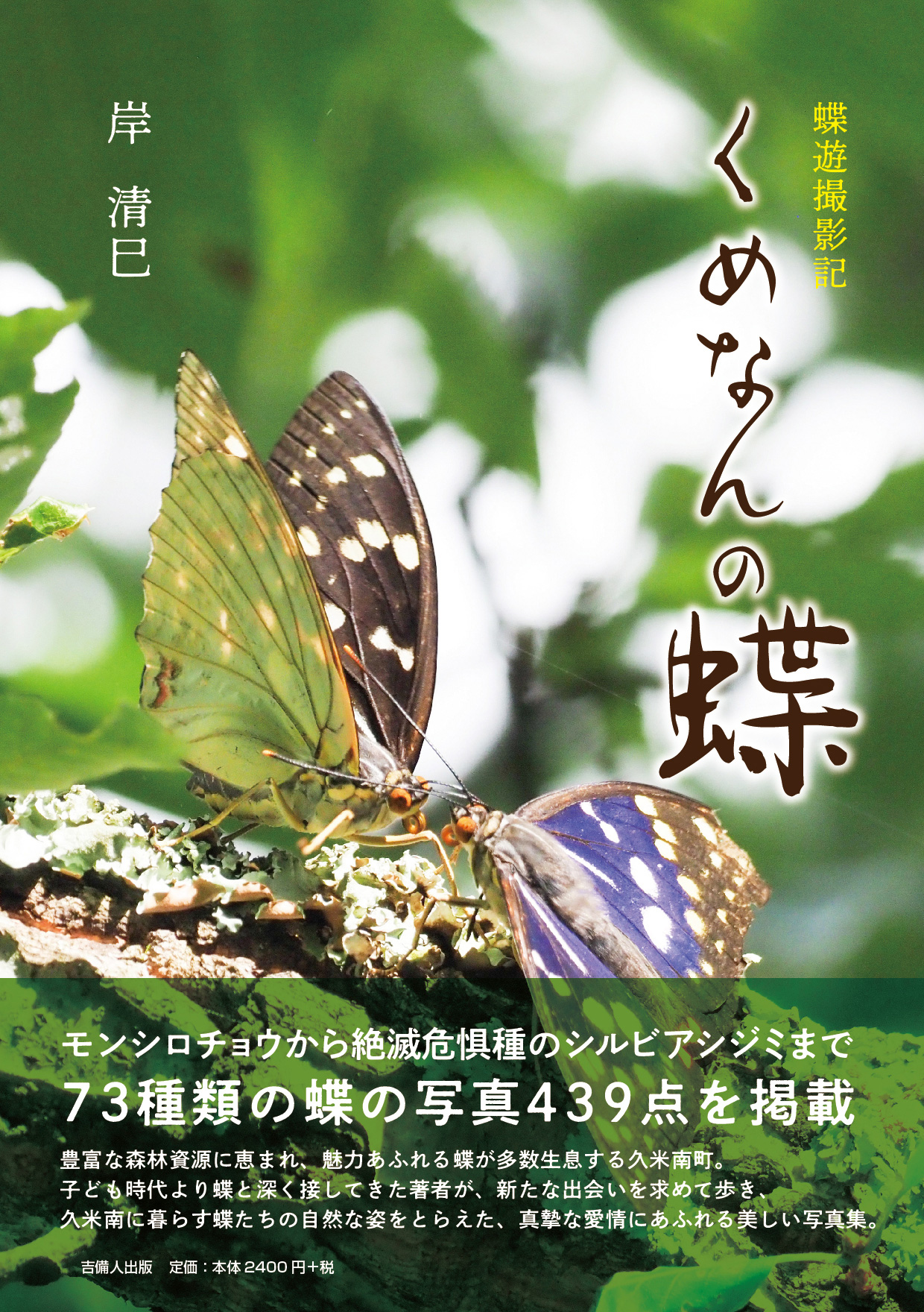 岸 清巳 ,くめなんの蝶