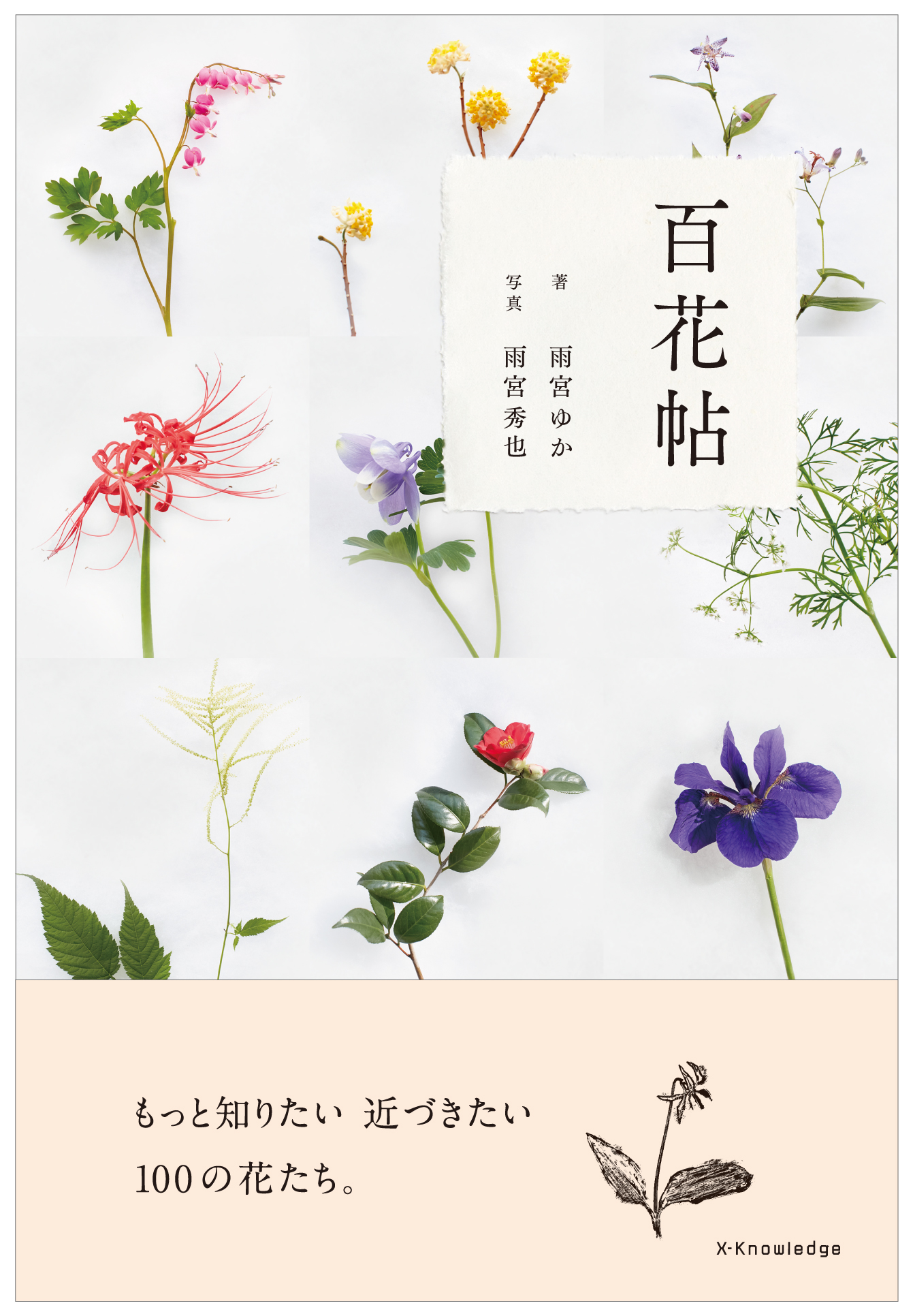 百花帖　―もっと知りたい　近づきたい　100の花たち。