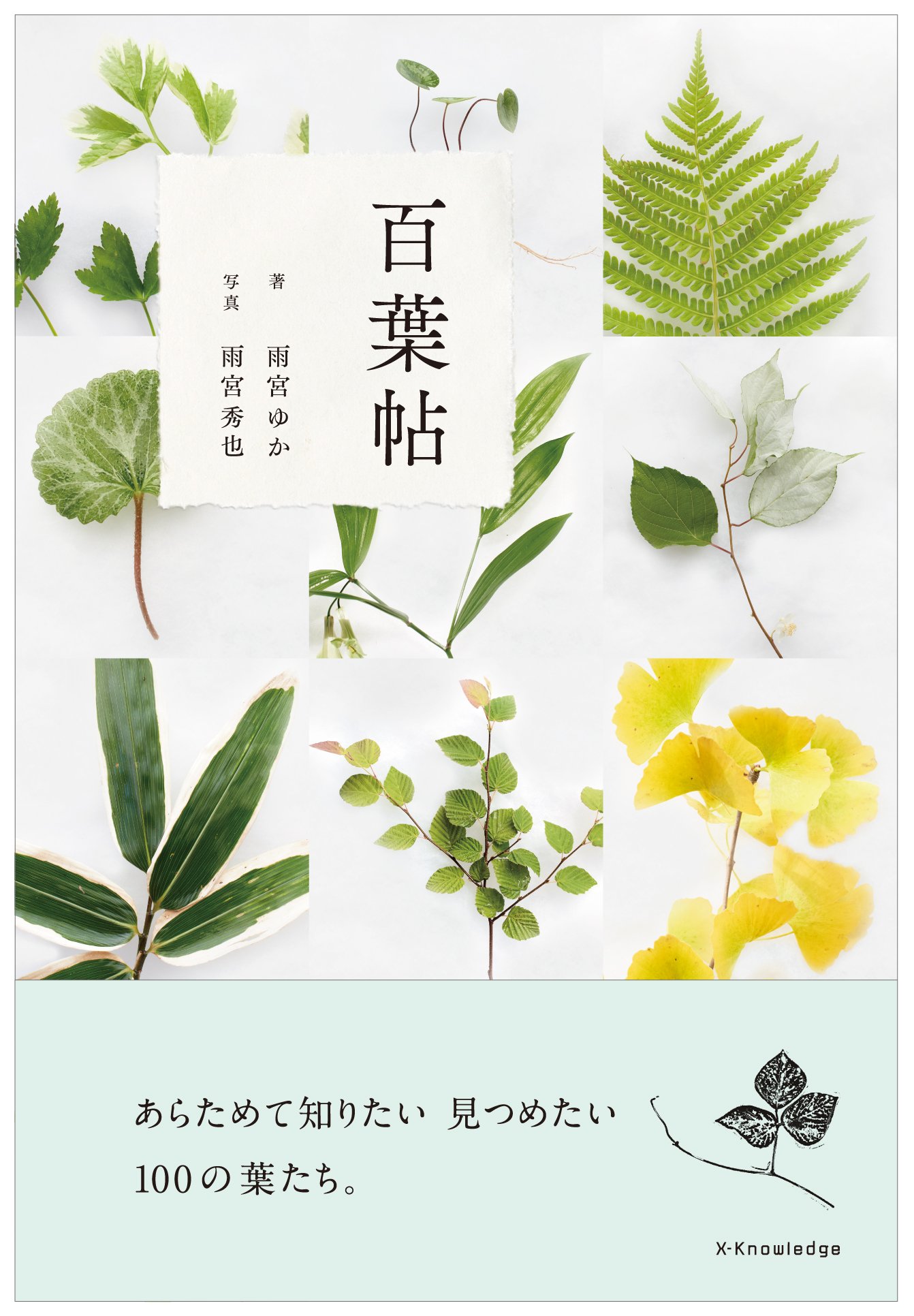 百葉帖　―あらためて知りたい　見つめたい　100の葉たち。