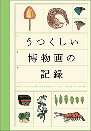 うつくしい博物画の記録