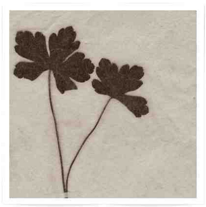 DUO / AKIRA KOSEMURA　小瀬村 晶　コンサートシングル