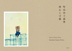 町田尚子画集 隙あらば猫