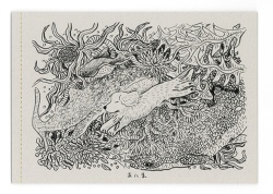 あにま,中村雅奈