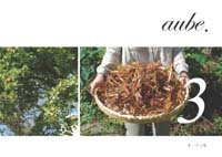 aube.03