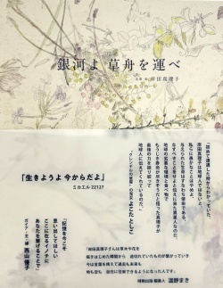 岸田真理子,銀河よ草舟を運べ