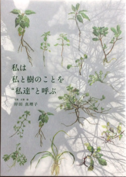 私は私と樹のことを　”私達”と呼ぶ　,岸田真理子