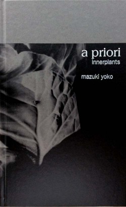 真月洋子写真集『a priori』