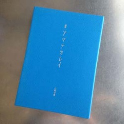 石川早苗氏詩集『アマテカレイ』
