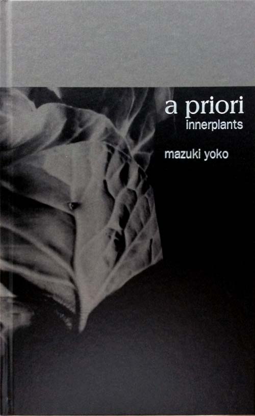 真月洋子写真集『a priori』