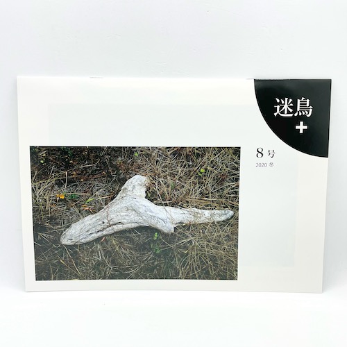 伊藤昭一撮影編集「迷鳥＋ 8号 鳥が見つける」