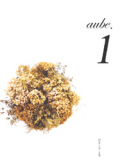 aube.1号（創刊号）