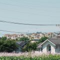 Paniyolo ,渡辺明応 ,家並み