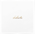 Schole Collection Box