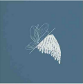 Tim Linghaus - Memory Sketches