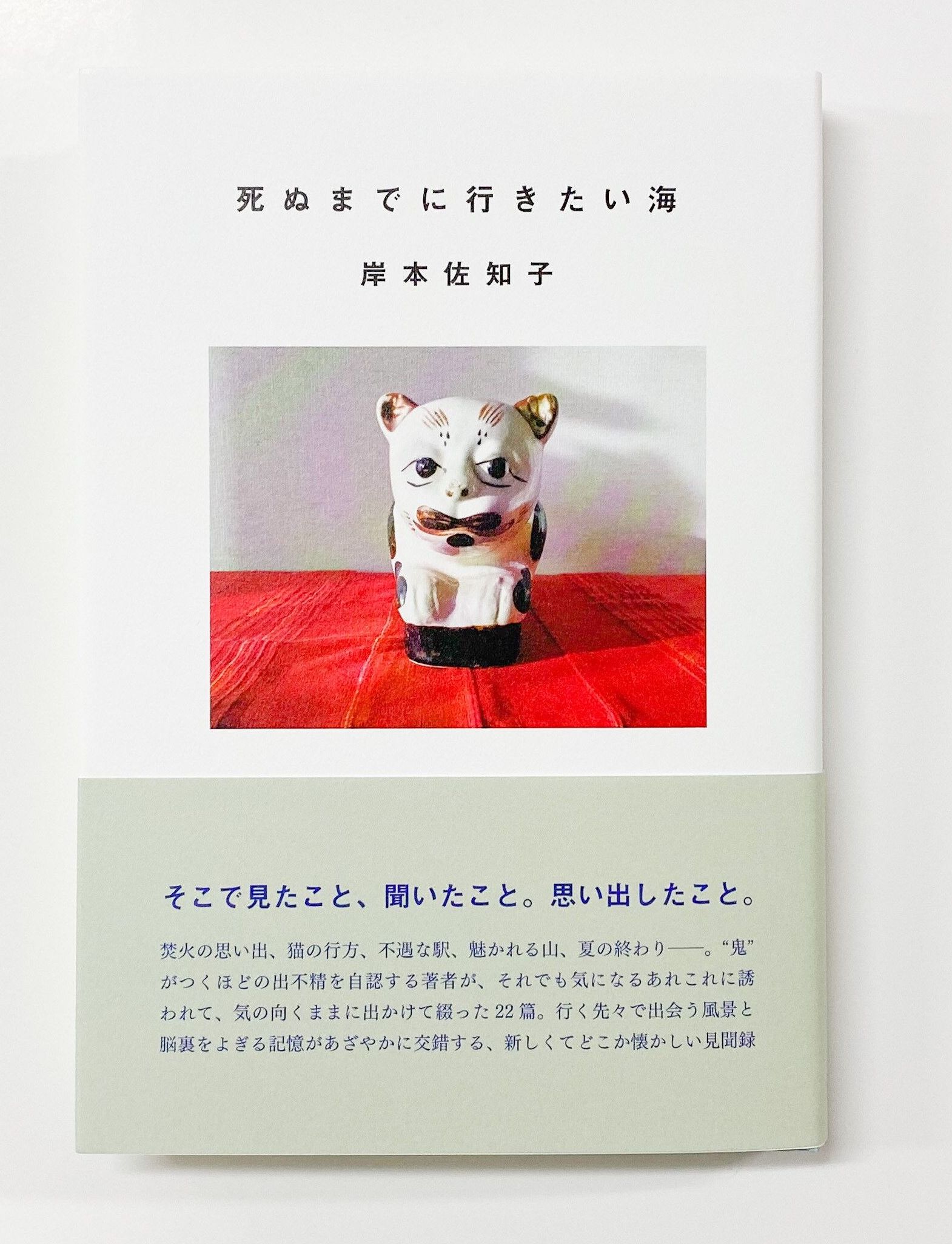 死ぬまでに行きたい海,岸本佐知子