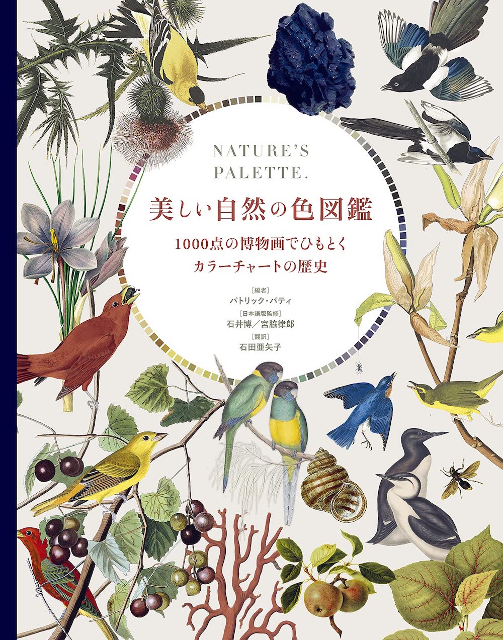 美しい自然の色図鑑