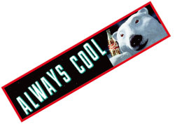 Coca-Cola★CC-BS13★コカ・コーラ ステッカー★ALWAYS COOL Coca-Cola/コカ・コーラ