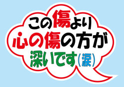 この傷より心の傷の方が深いです(涙) 噴出しステッカー シロウトモータース 4610MOTORS シール
